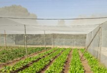 PRESS RELEASE – SOUTH AFRICA’S NUTRITION CRISIS STARTS WITH WHAT PEOPLE CAN AFFORD